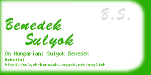 benedek sulyok business card